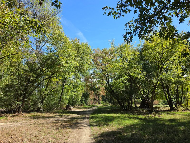 Naturoase Aupark Jedlesee PK19