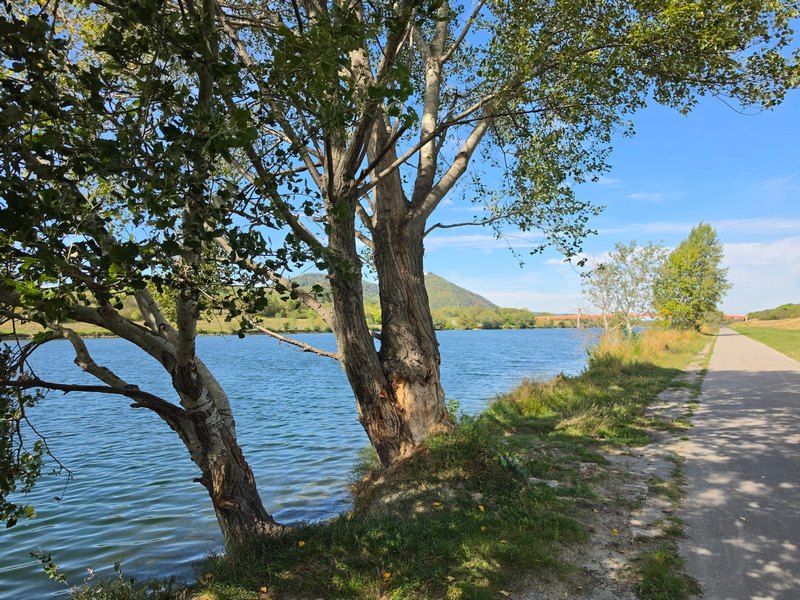 Unzählige Sportmöglichkeiten an der Neuen Donau PK19